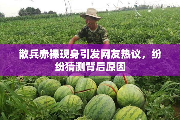 散兵赤裸现身引发网友热议，纷纷猜测背后原因