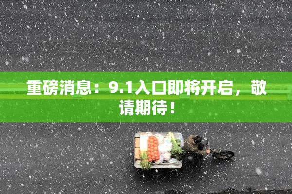 重磅消息：9.1入口即将开启，敬请期待！
