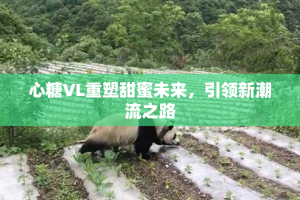 心糖VL重塑甜蜜未来，引领新潮流之路