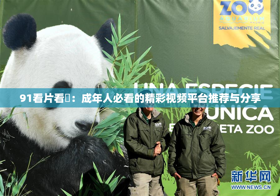 91看片看婬：成年人必看的精彩视频平台推荐与分享