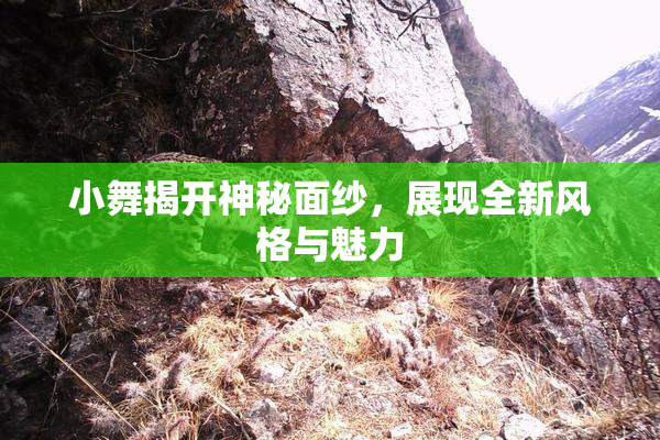 小舞揭开神秘面纱，展现全新风格与魅力