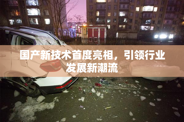 国产新技术首度亮相，引领行业发展新潮流