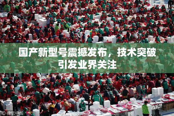 国产新型号震撼发布，技术突破引发业界关注