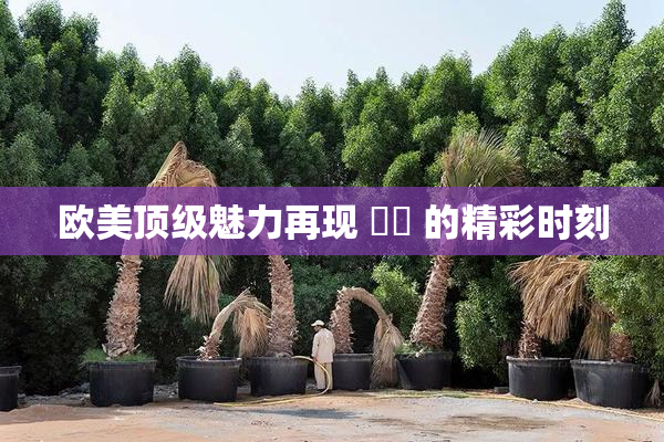 欧美顶级魅力再现 ❌‌ 的精彩时刻