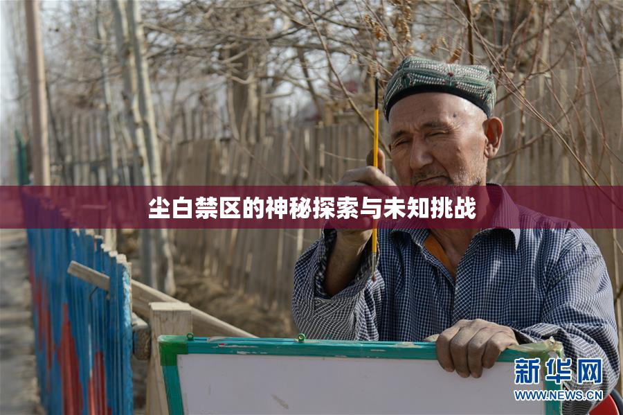 尘白禁区的神秘探索与未知挑战