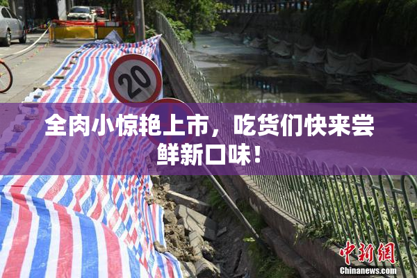 全肉小惊艳上市，吃货们快来尝鲜新口味！
