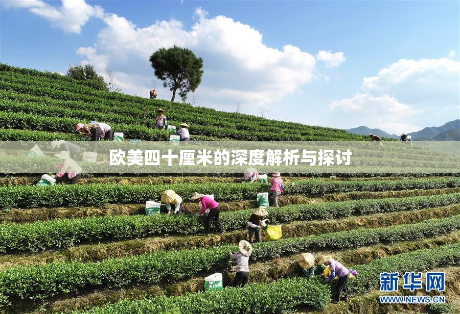 欧美四十厘米的深度解析与探讨
