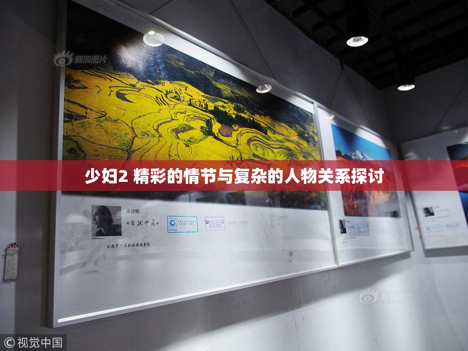 少妇2 精彩的情节与复杂的人物关系探讨