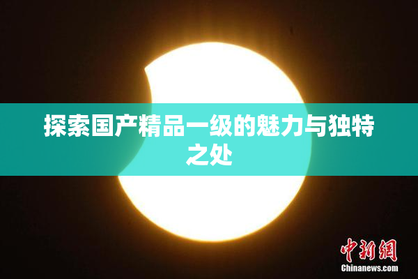 探索国产精品一级的魅力与独特之处