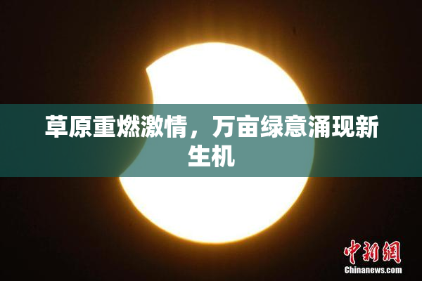 草原重燃激情，万亩绿意涌现新生机
