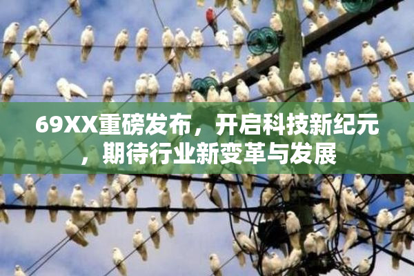 69XX重磅发布，开启科技新纪元，期待行业新变革与发展