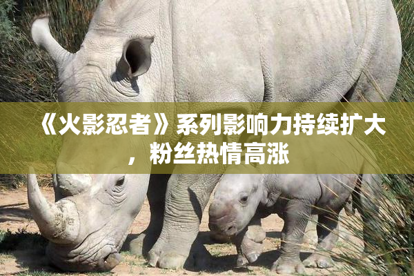 《火影忍者》系列影响力持续扩大，粉丝热情高涨