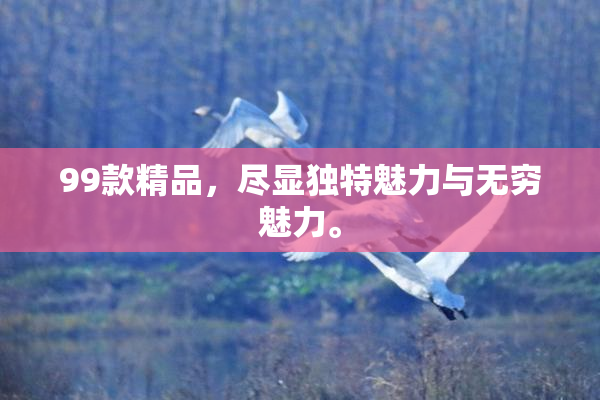 99款精品，尽显独特魅力与无穷魅力。