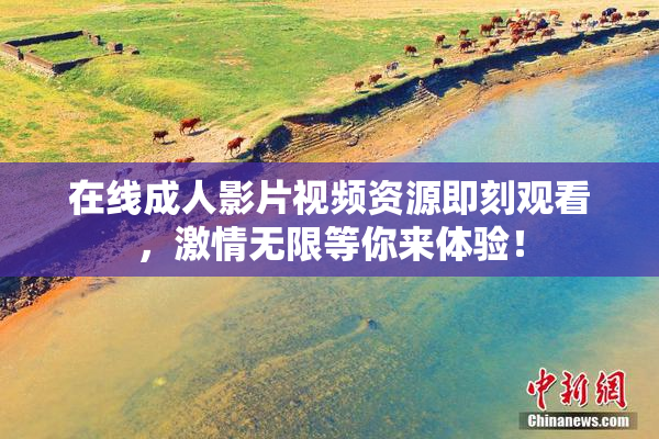 在线成人影片视频资源即刻观看，激情无限等你来体验！