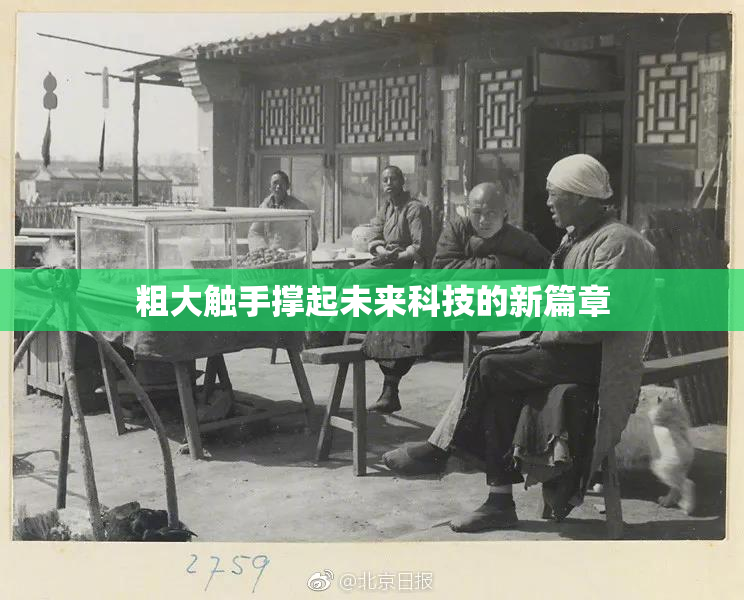 粗大触手撑起未来科技的新篇章