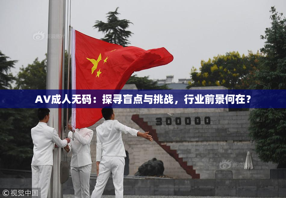 AV成人无码：探寻盲点与挑战，行业前景何在？