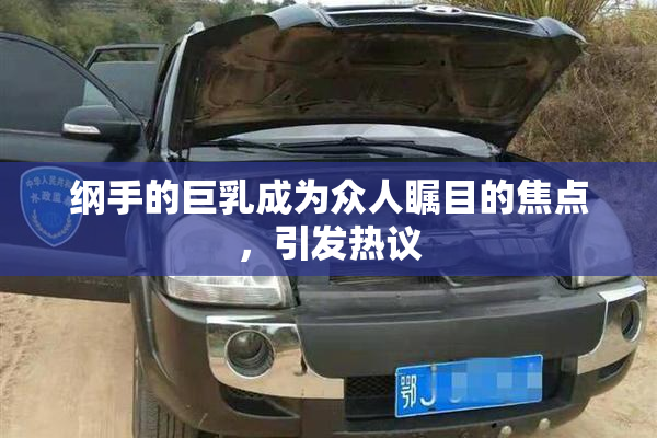 纲手的巨乳成为众人瞩目的焦点，引发热议