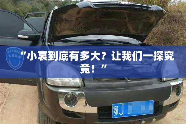 “小哀到底有多大？让我们一探究竟！”