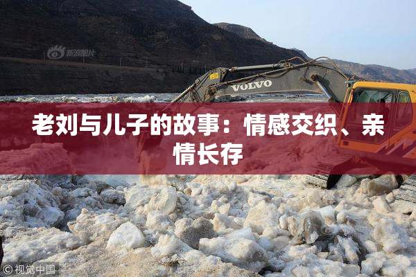 老刘与儿子的故事：情感交织、亲情长存