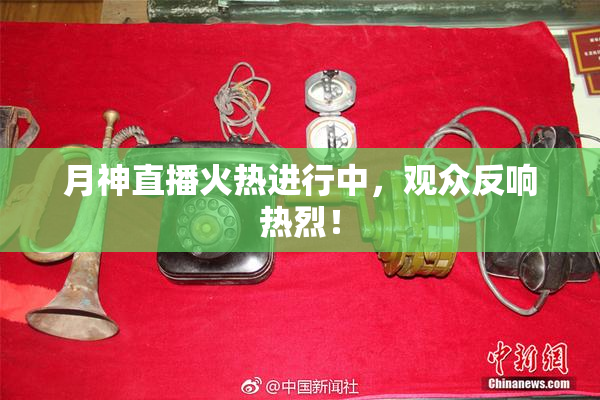 月神直播火热进行中，观众反响热烈！