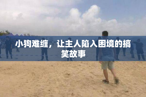 小狗难缠，让主人陷入困境的搞笑故事
