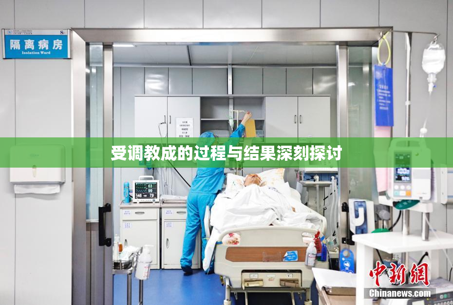 受调教成的过程与结果深刻探讨