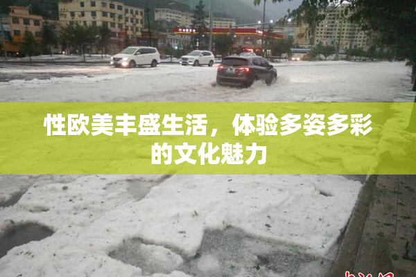 性欧美丰盛生活，体验多姿多彩的文化魅力