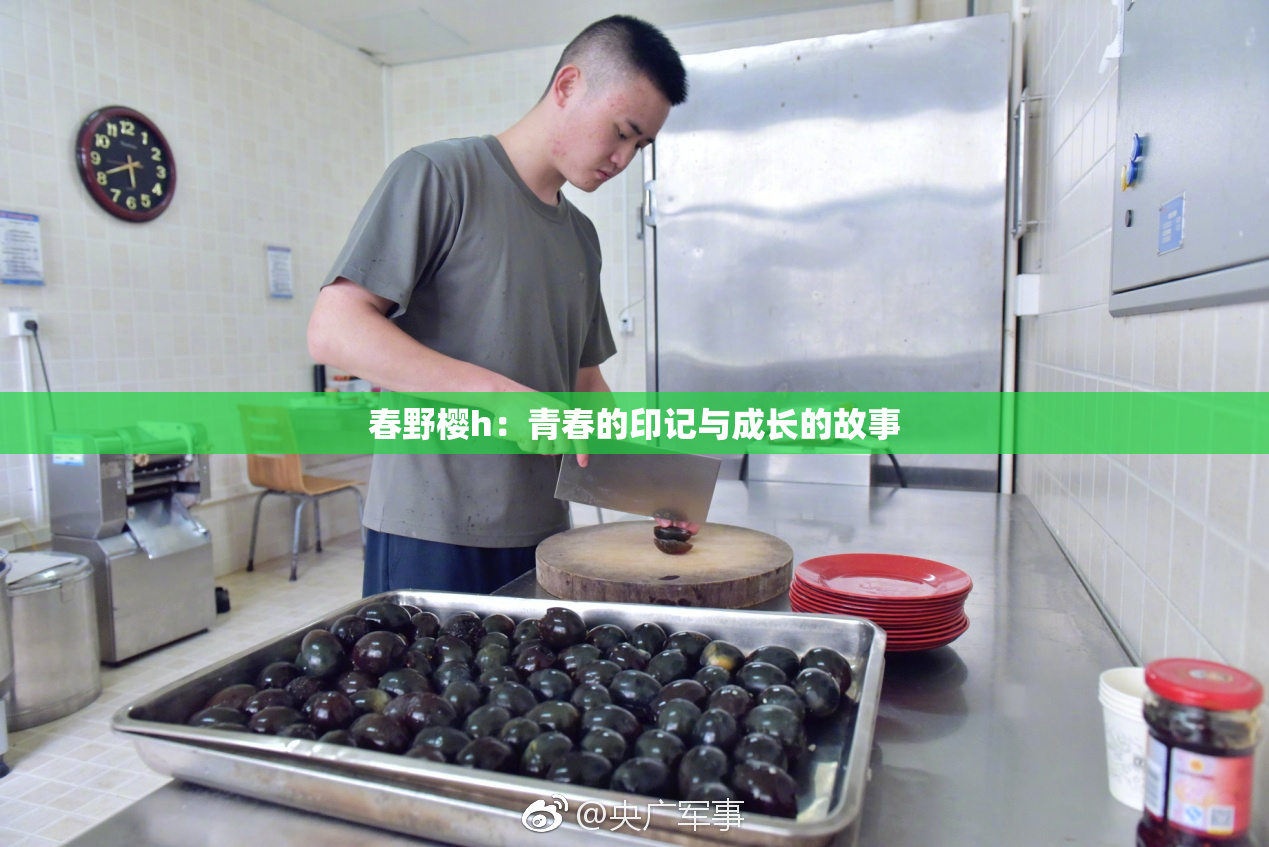 春野樱h：青春的印记与成长的故事