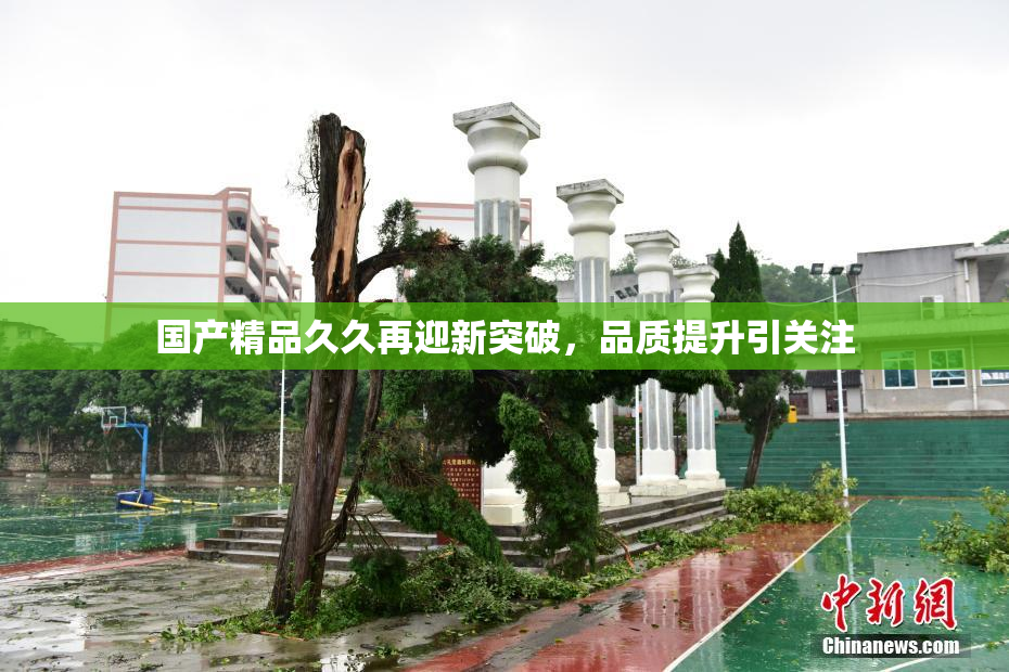 国产精品久久再迎新突破，品质提升引关注