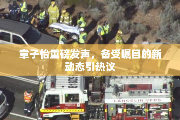 章子怡重磅发声，备受瞩目的新动态引热议