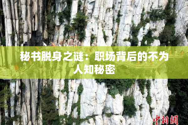 秘书脱身之谜：职场背后的不为人知秘密