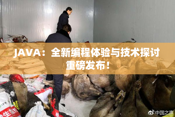 JAVA：全新编程体验与技术探讨重磅发布！