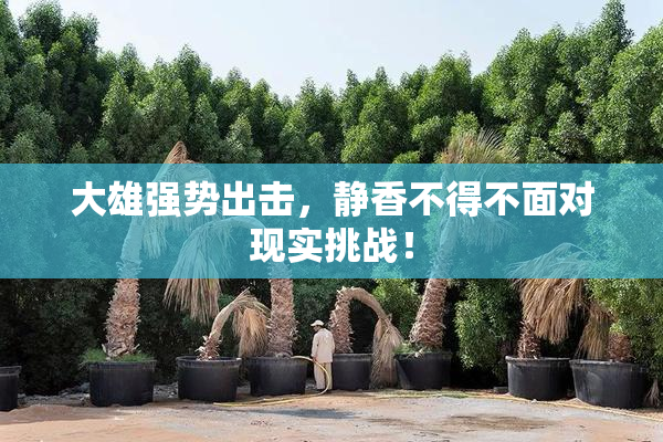 大雄强势出击，静香不得不面对现实挑战！