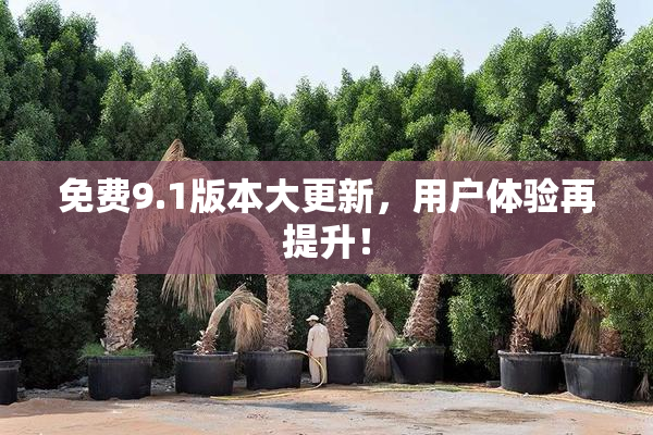 免费9.1版本大更新，用户体验再提升！