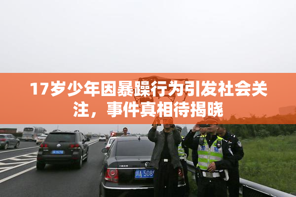 17岁少年因暴躁行为引发社会关注，事件真相待揭晓