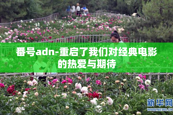 番号adn-重启了我们对经典电影的热爱与期待