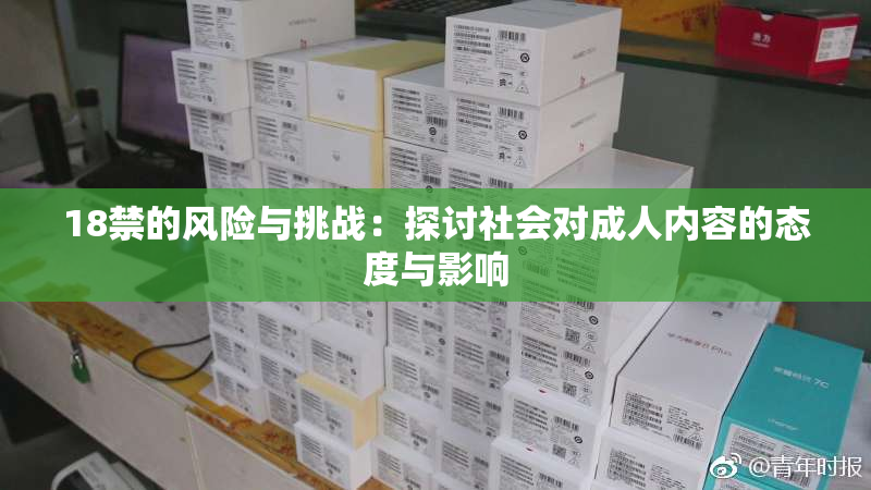 18禁的风险与挑战：探讨社会对成人内容的态度与影响
