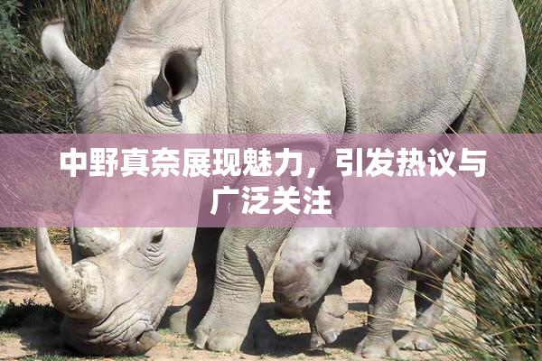 中野真奈展现魅力，引发热议与广泛关注