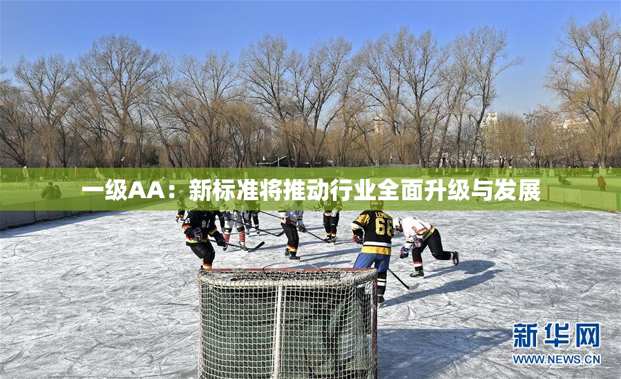 一级AA：新标准将推动行业全面升级与发展
