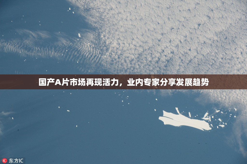 国产A片市场再现活力，业内专家分享发展趋势