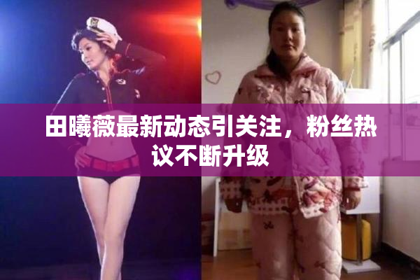 田曦薇最新动态引关注，粉丝热议不断升级