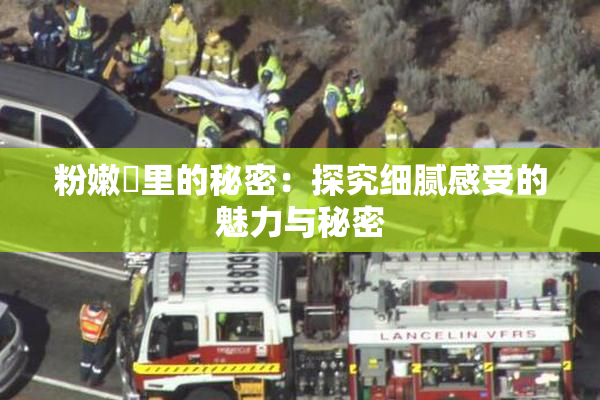 粉嫩泬里的秘密：探究细腻感受的魅力与秘密