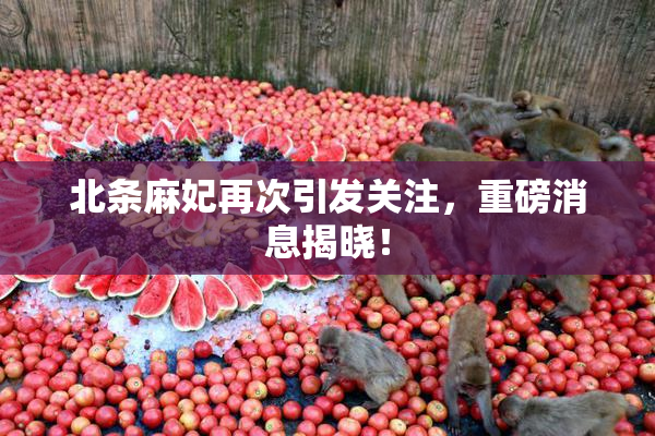 北条麻妃再次引发关注，重磅消息揭晓！