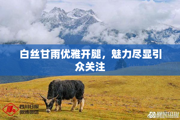 白丝甘雨优雅开腿，魅力尽显引众关注