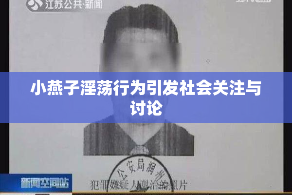 小燕子淫荡行为引发社会关注与讨论