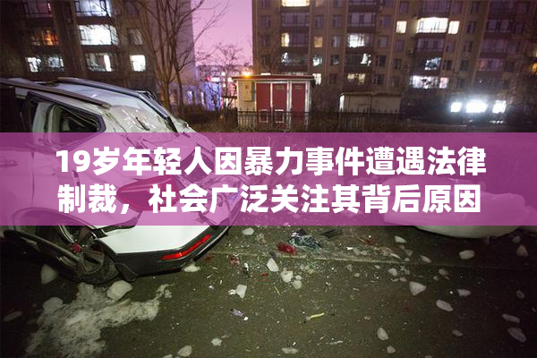 19岁年轻人因暴力事件遭遇法律制裁，社会广泛关注其背后原因