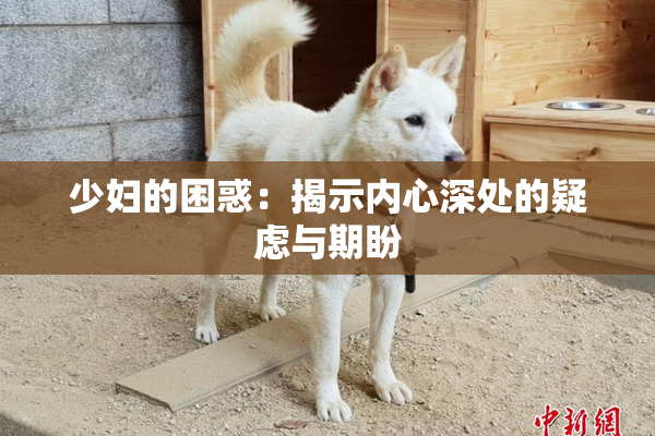 少妇的困惑：揭示内心深处的疑虑与期盼