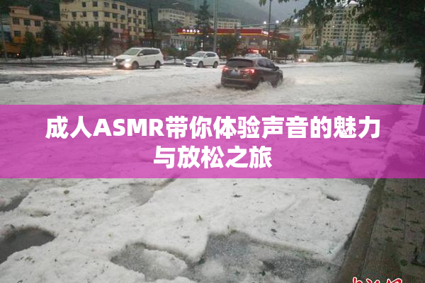 成人ASMR带你体验声音的魅力与放松之旅