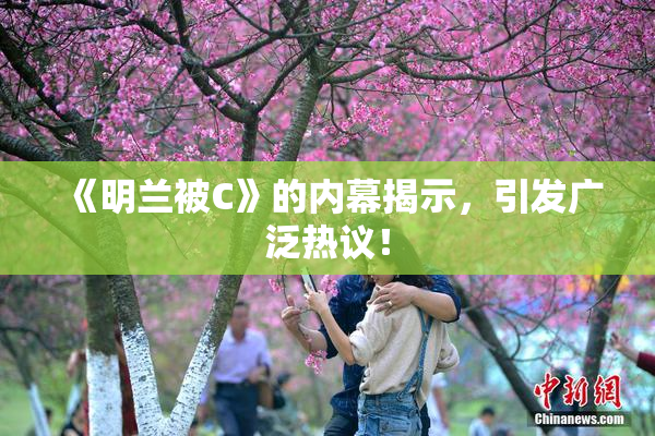 《明兰被C》的内幕揭示，引发广泛热议！