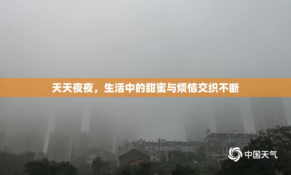 天天夜夜，生活中的甜蜜与烦恼交织不断